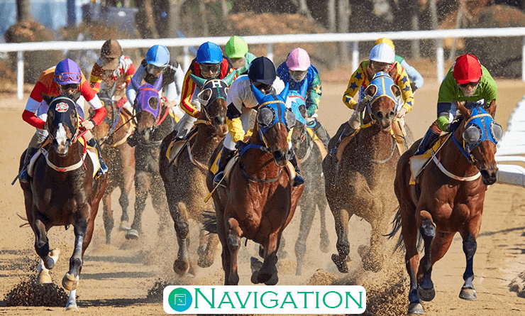 Bet365 horse racing section
